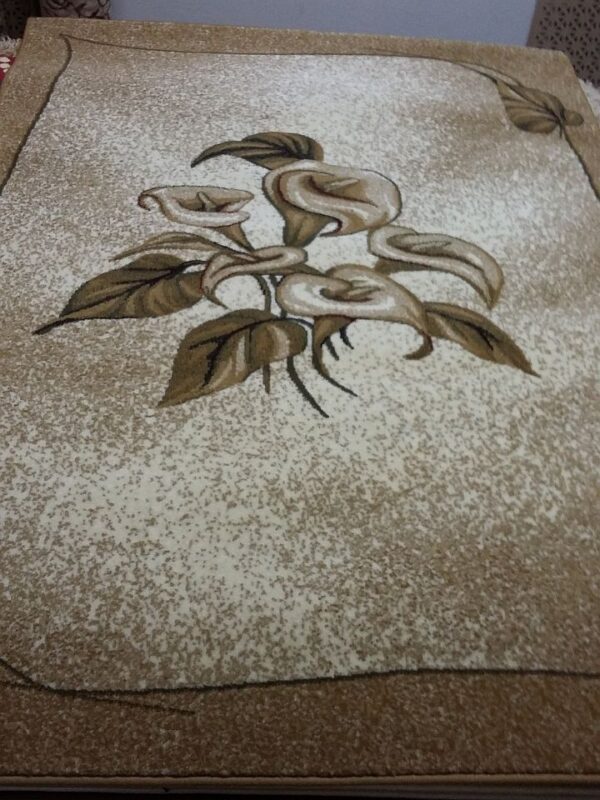 carpet-acvila-moldabela-lotus-0545-41032-120x170-720x960-v1v1