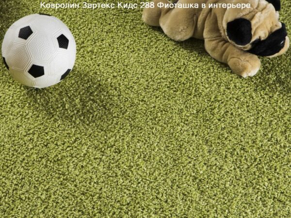 carpet-zartex-kids-284-kn-960x720-w5v0