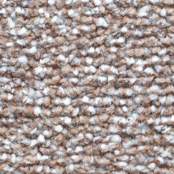 carpet-zartex-paradise-575-kn-720x720-v2v0