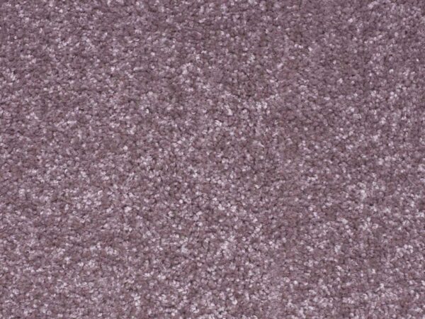 carpet-zartex-provence-017-kn-960x720-w1v0