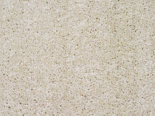 carpet-zartex-provence-019-kn-960x720-w1v0