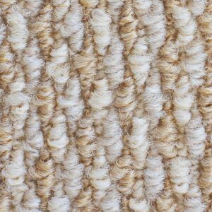 carpet-zartex-riphean-505-kn-960x720-w1v0