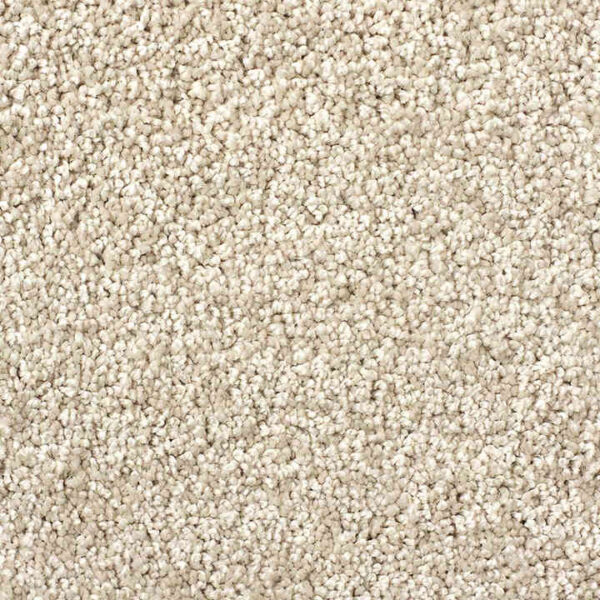 carpet-zartex-savoie-271-kn-720x720-v1v0q30