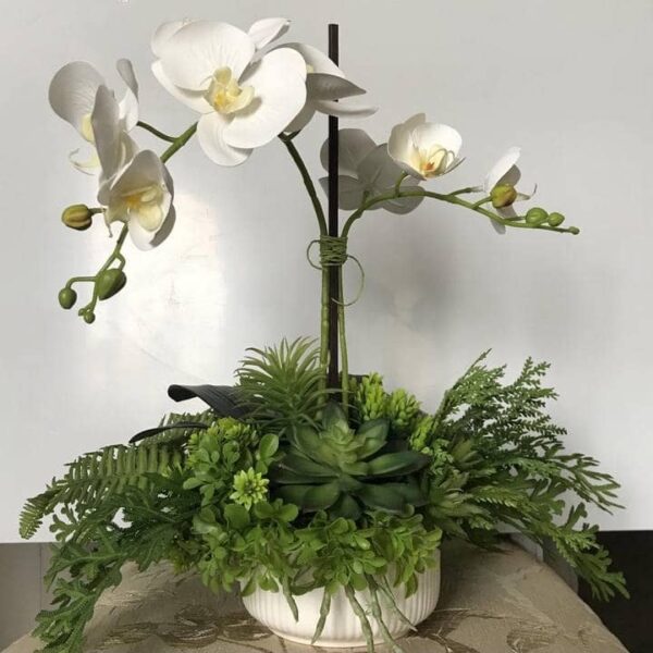 flower-composition-handmade-phalaenopsis-720x720-v1v0q70