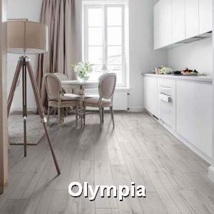 collection-linoleum-textura-olympia-300x300-v1v0q70