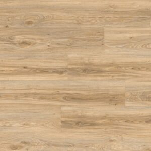 pvc-tile-moduleo-transform-dryback-blackjack-oak-22220-720x960-w1v0q75