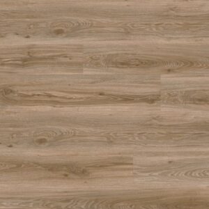 pvc-tile-moduleo-transform-dryback-blackjack-oak-22229-720x960-w1v0q75